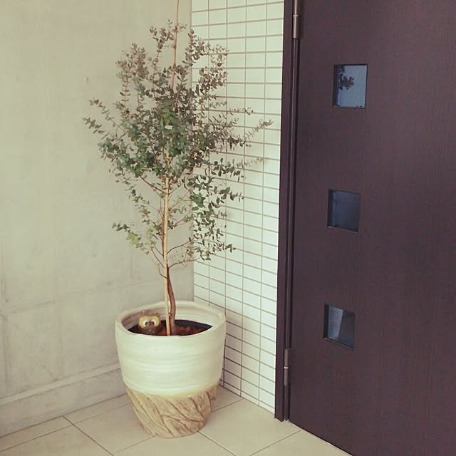tomotomoさんの実例写真