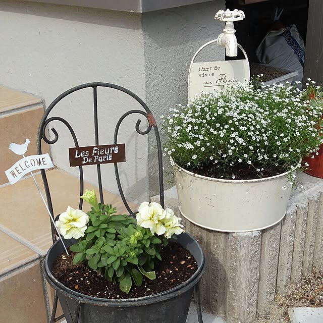 HARU...さんの実例写真