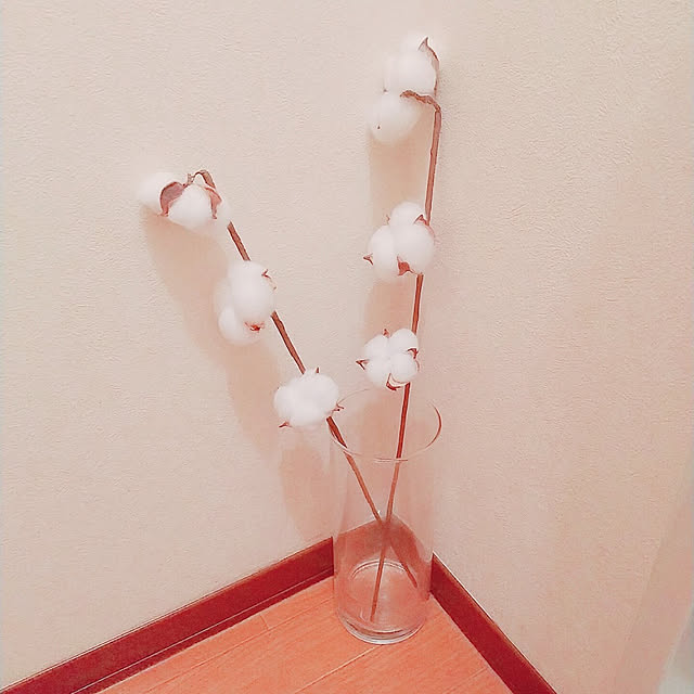 ichigomilkさんの実例写真