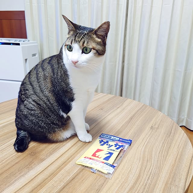 机/おうちをキレイに保つ習慣/サッサ試供品プレゼント/日用品/ひとり暮らし...などのインテリア実例 - 2024-06-04 20:19:30