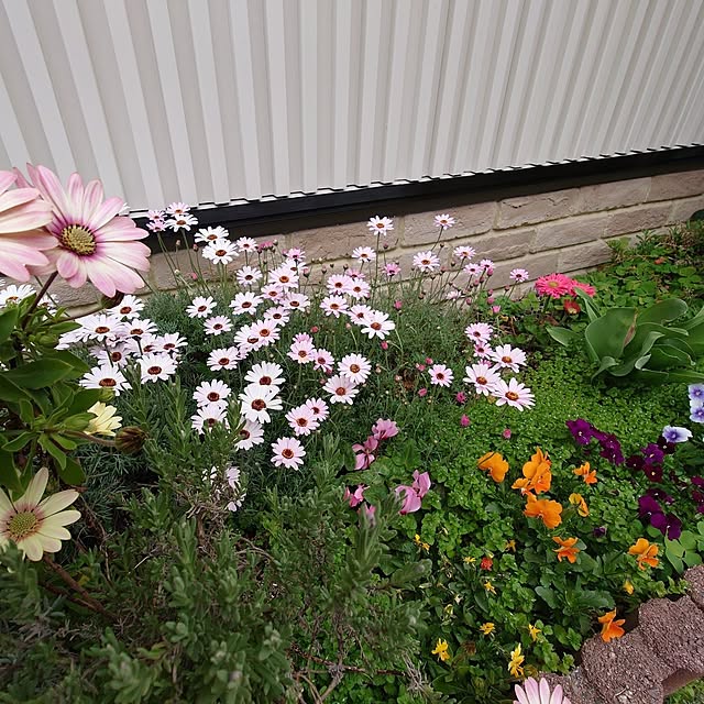 fleur-mamanさんの部屋
