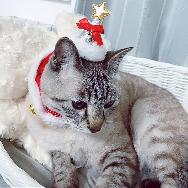 mieさんの実例写真