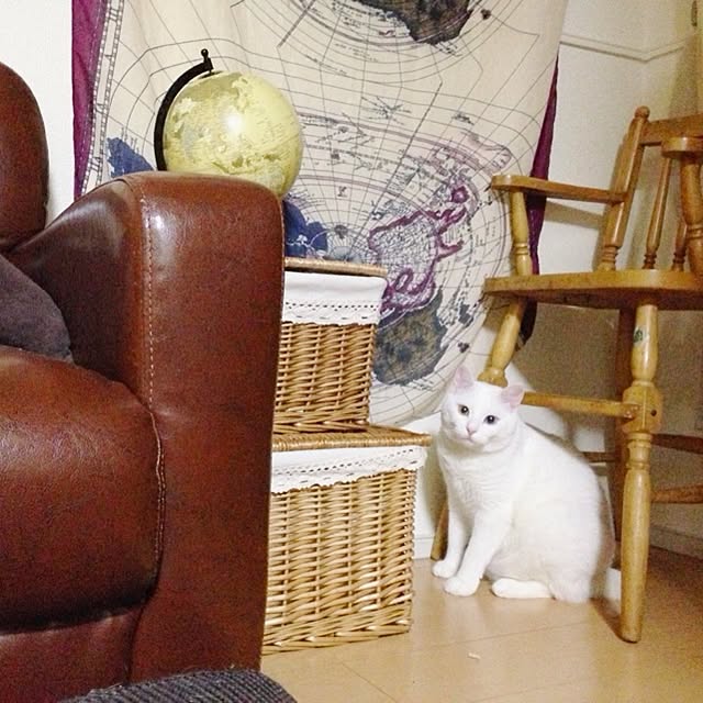 kaoさんの実例写真