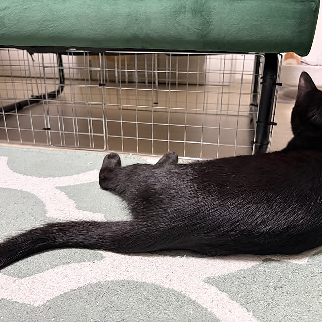 makiさんの実例写真