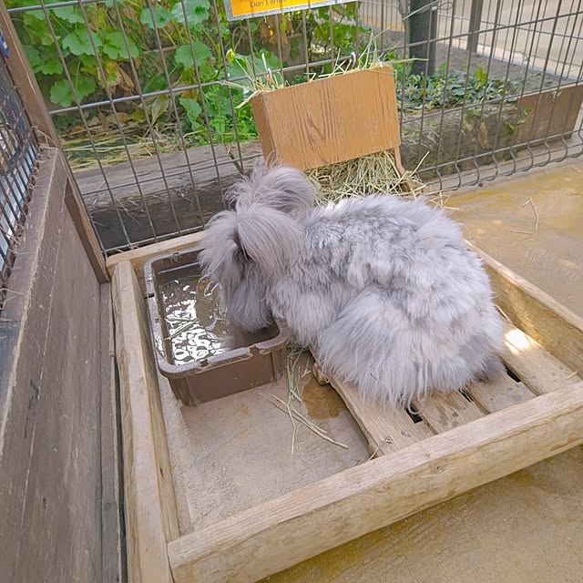 mariaさんの部屋