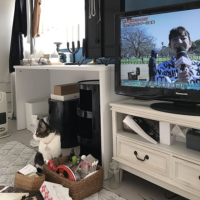 Shihoさんの実例写真