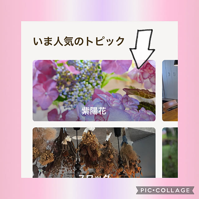 akiko-ovさんの実例写真