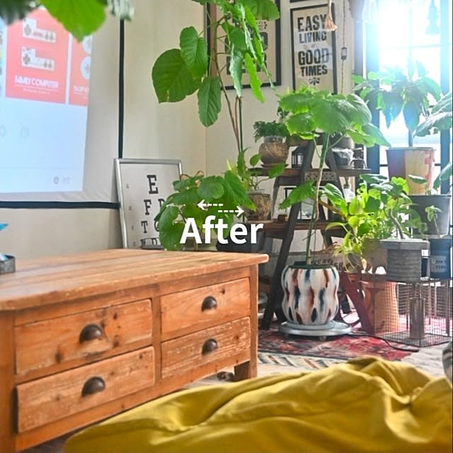 CYNOSさんの実例写真