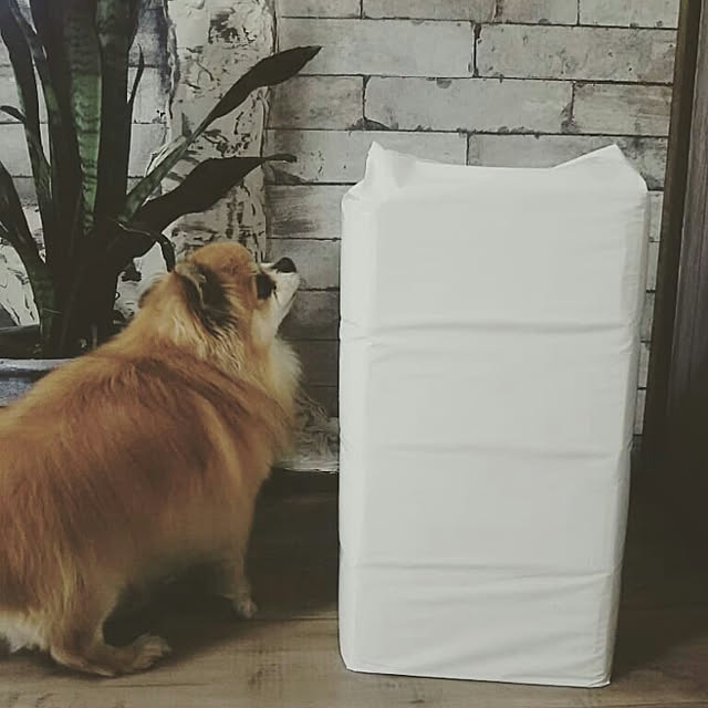 reksさんの実例写真