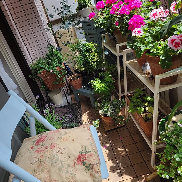 berryberryさんの部屋
