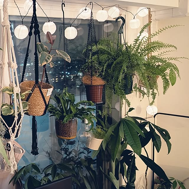 necoさんの部屋