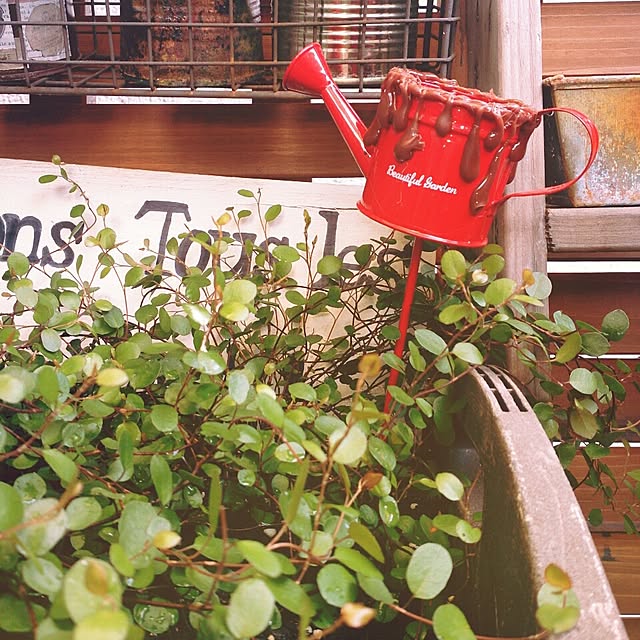 nonさんの実例写真