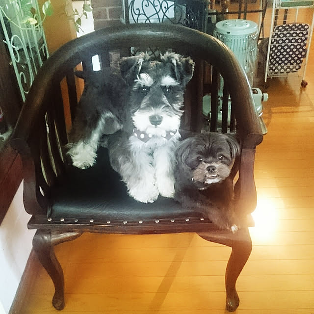 asaさんの実例写真