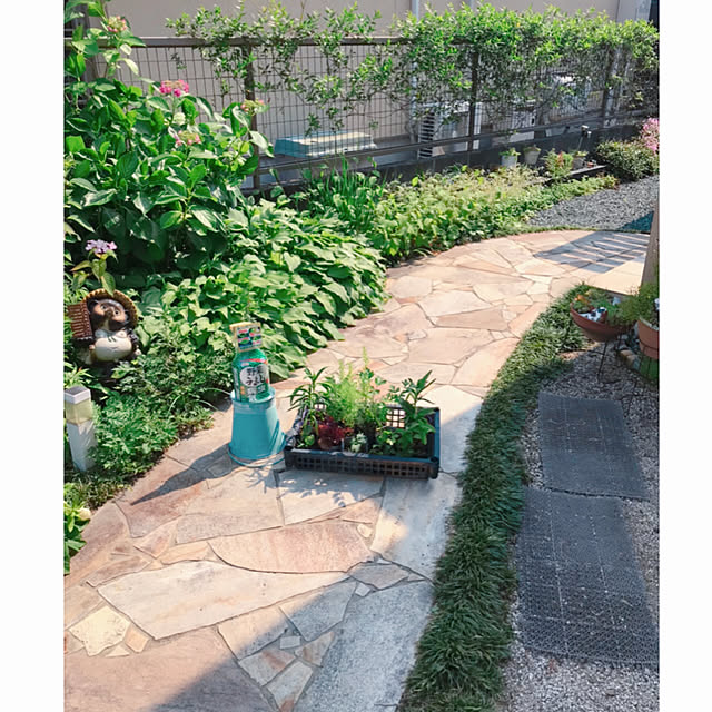 portulacaさんの実例写真