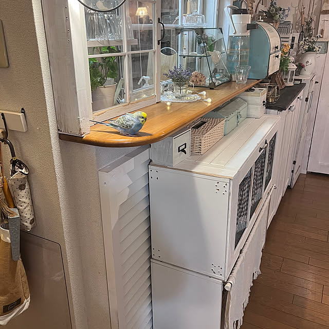 Atsukoさんの部屋