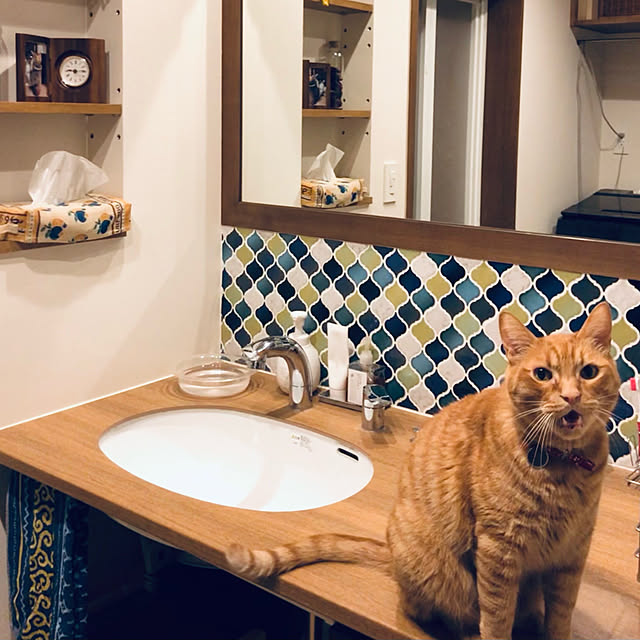 Maruさんの実例写真