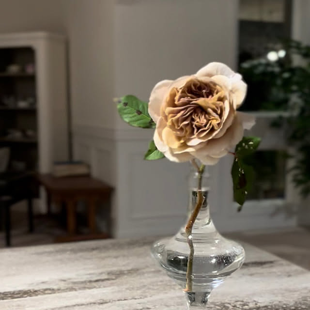 choさんの実例写真