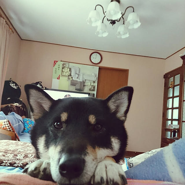 tsutawarimasuさんの実例写真