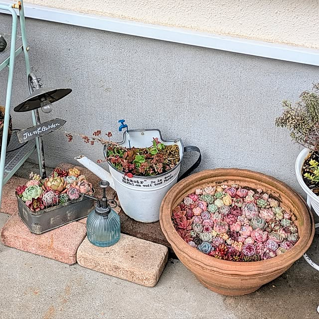 purpureさんの実例写真