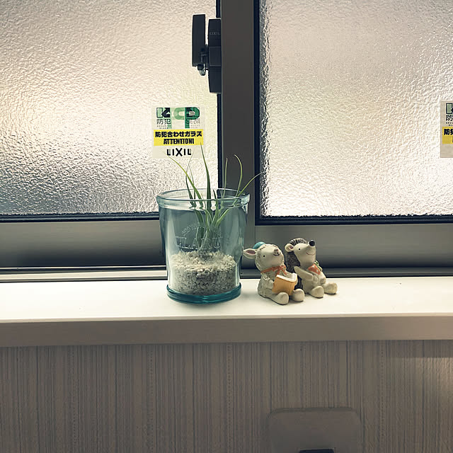 maririさんの実例写真