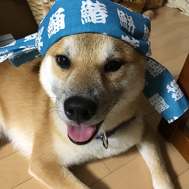 kotaさんの実例写真
