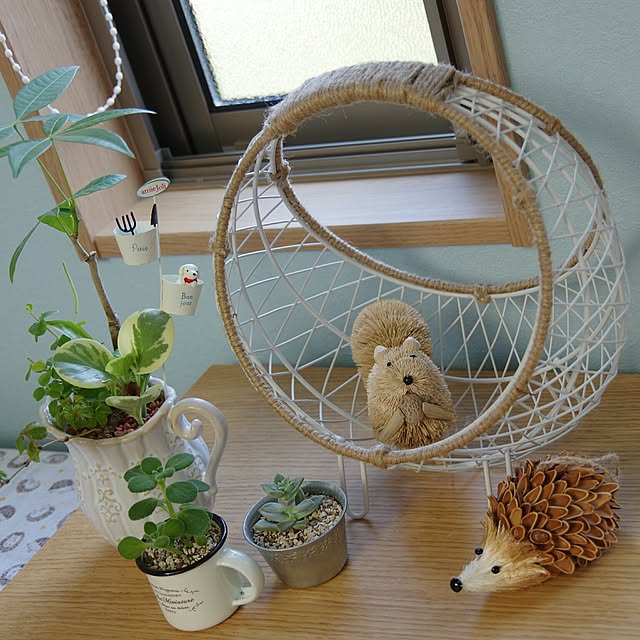Shooowkoさんの実例写真