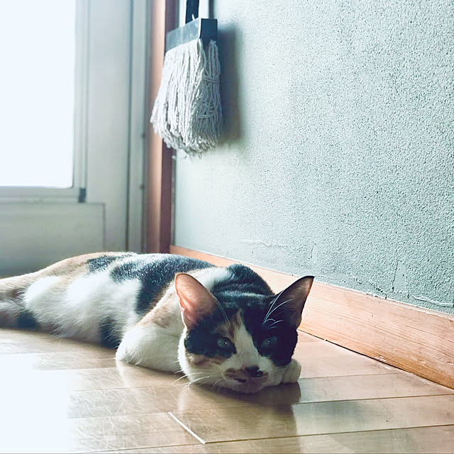 maroさんの実例写真