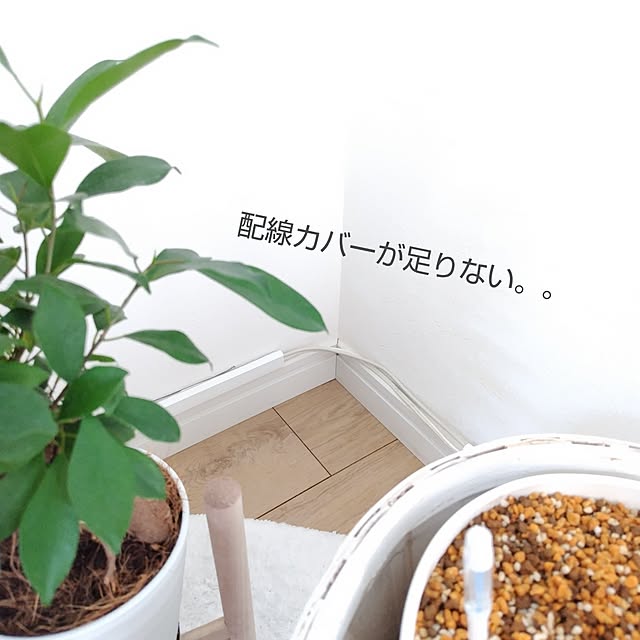 yamamaさんの部屋