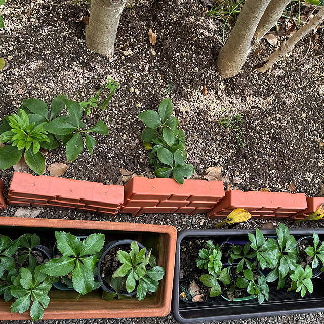 mamizaさんの部屋