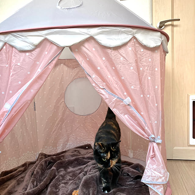 kirinsanさんの部屋