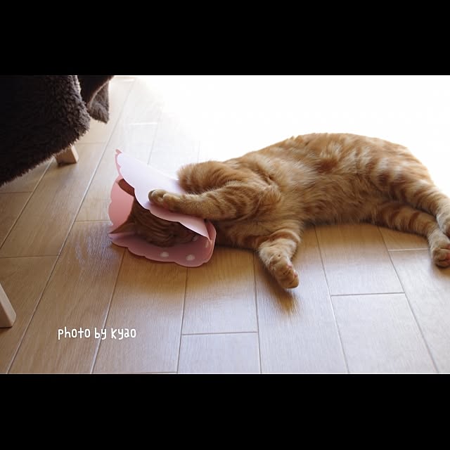 実例写真