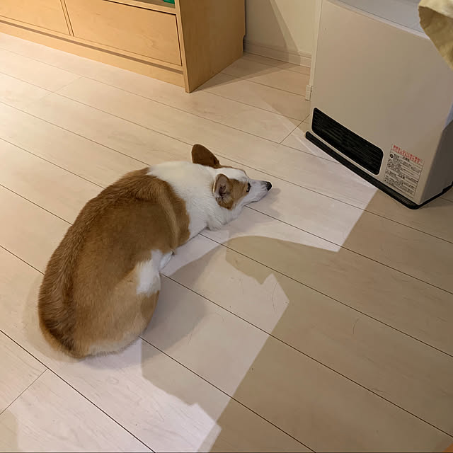 URIchanさんの実例写真