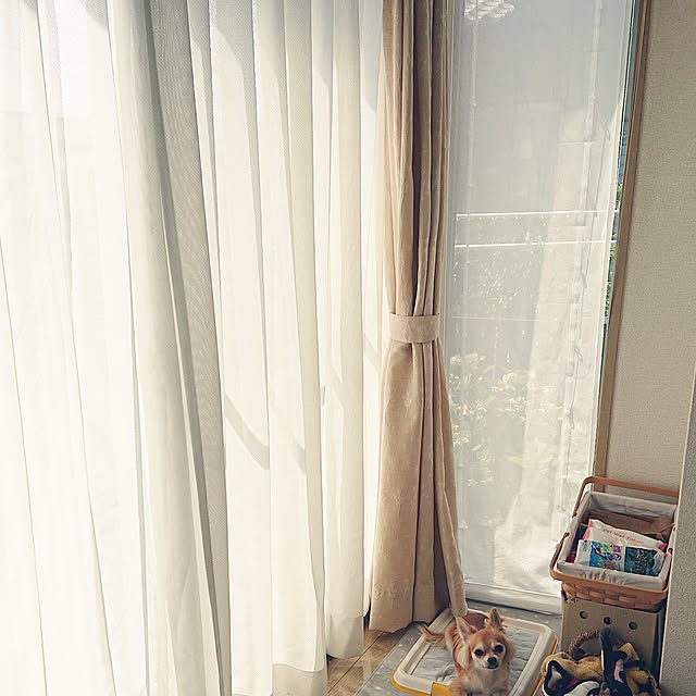 nattimomoさんの実例写真