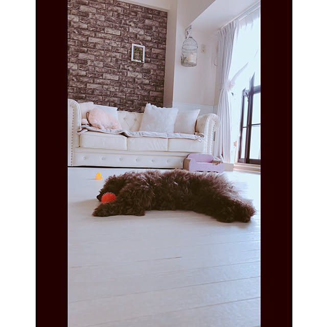 noelさんの実例写真