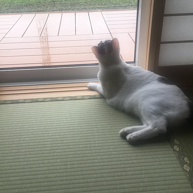 ryu-eiさんの実例写真