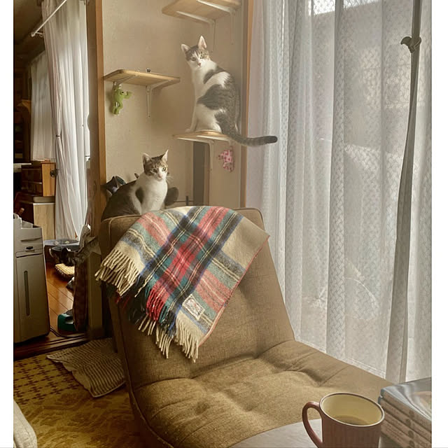 Lufuさんの実例写真