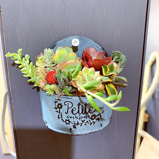 siawase.cfさんの実例写真