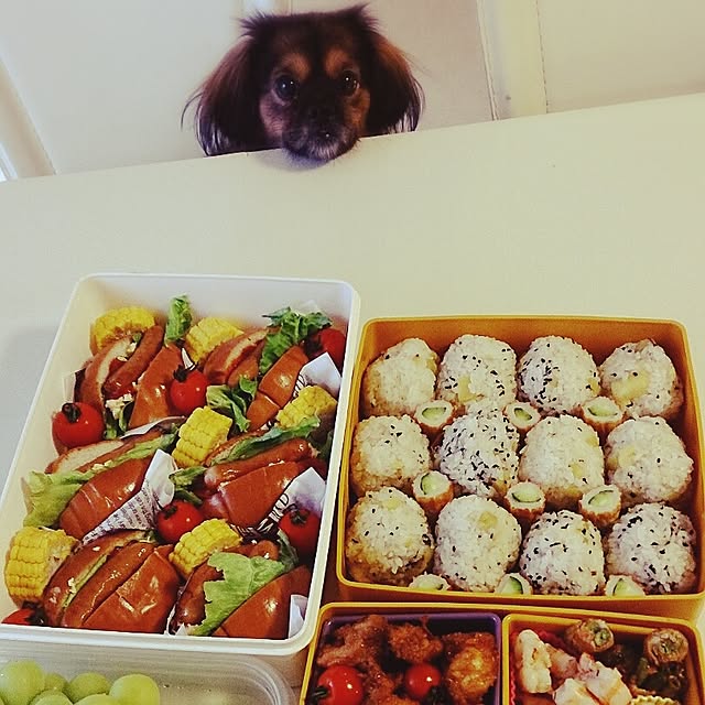 kazehoshiさんの実例写真