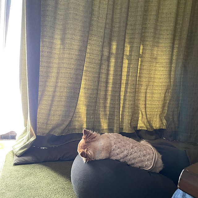 natsumiさんの実例写真
