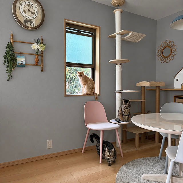 chiiさんのお部屋の写真