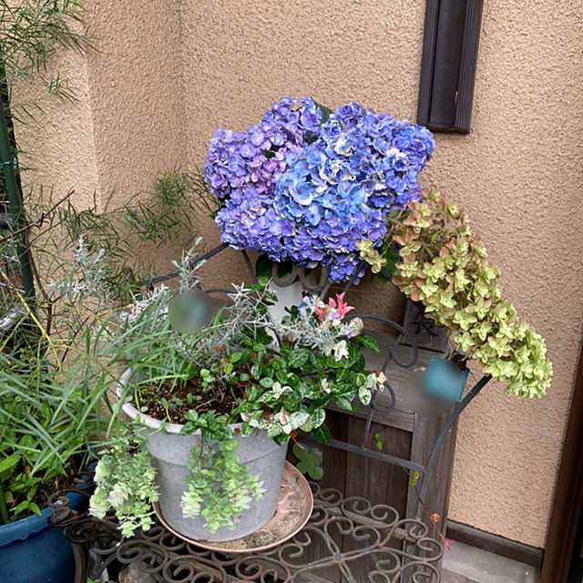 amiromikaさんの実例写真