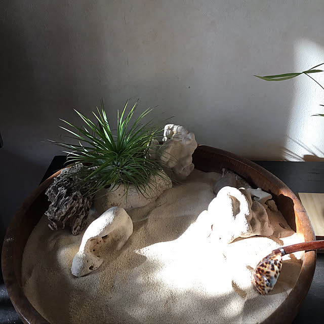 KahoruEgawaさんの実例写真