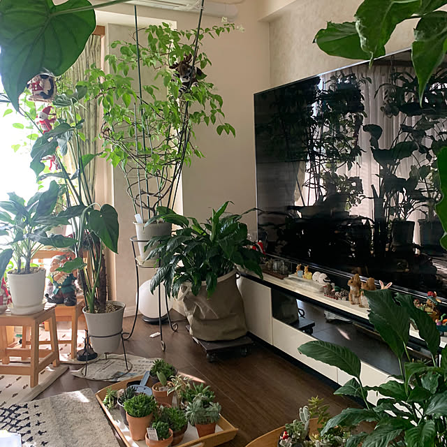 Aqettyさんの部屋