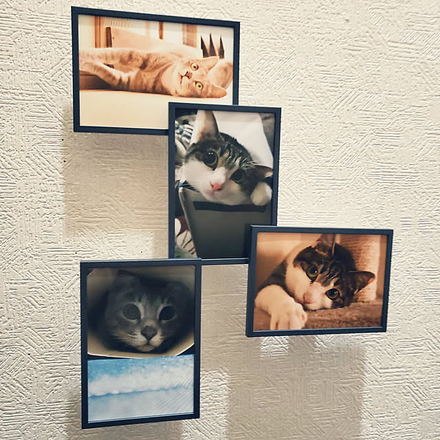 kiraさんの実例写真