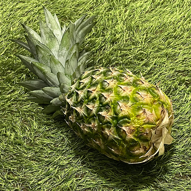 chouryuさんの実例写真