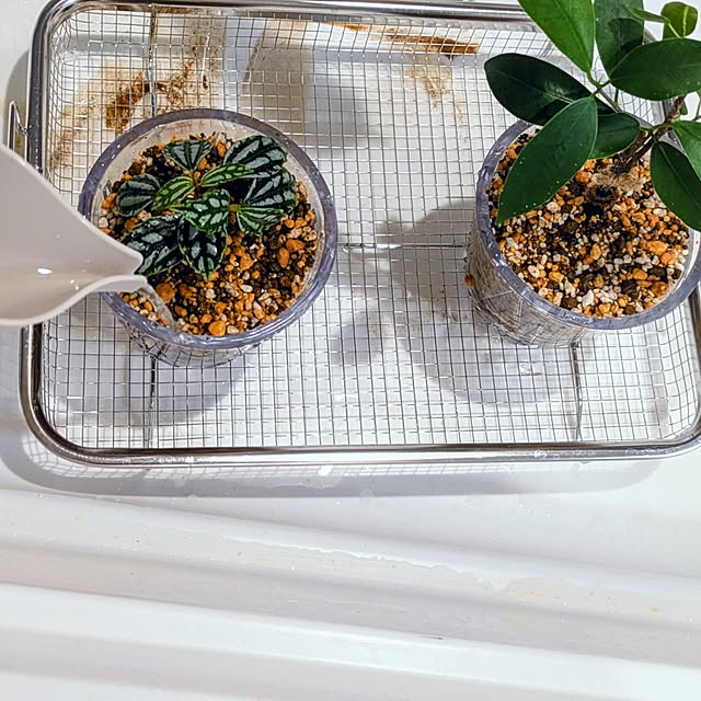 mi-saさんの部屋