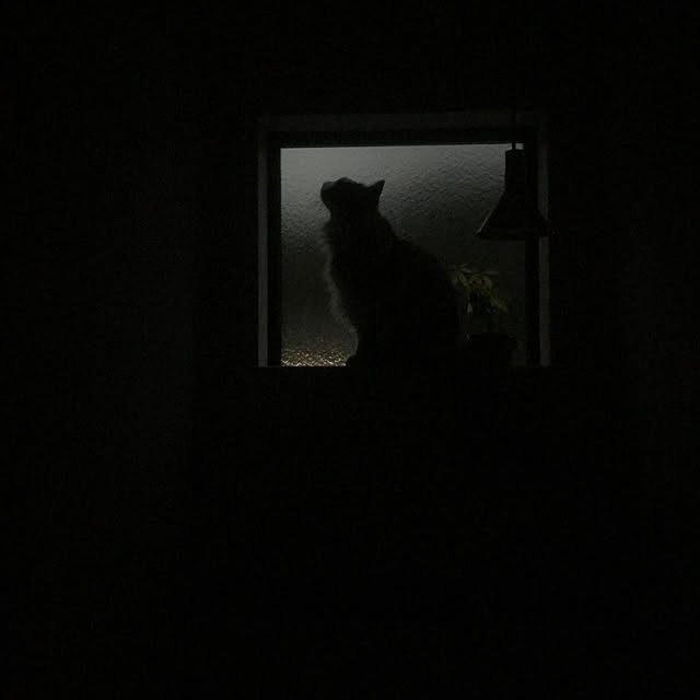 manew714さんの実例写真