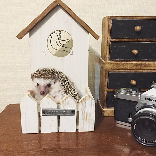yu_kiさんの実例写真