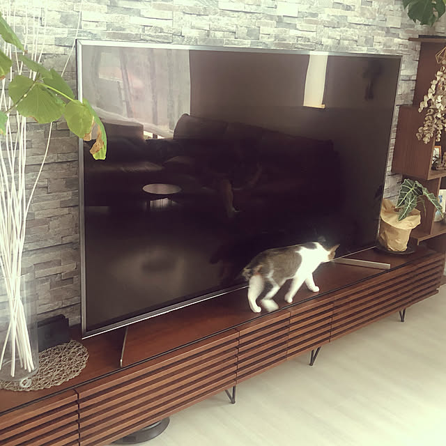 コロナウイルスが早く終息しますように/コロナが早く終息しますように/飾り棚/ニトリ/roomba...などのインテリア実例 - 2021-05-15 22:01:17