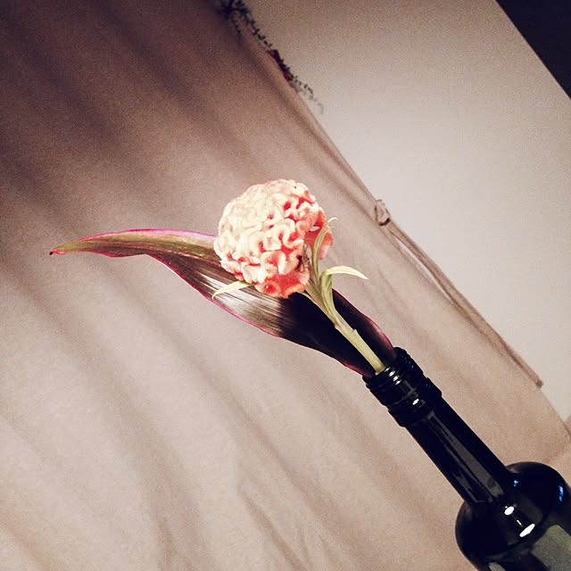 sacさんの実例写真